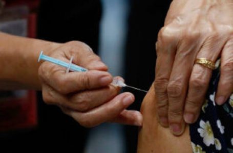 Gov’t to roll out vaccine for ASF