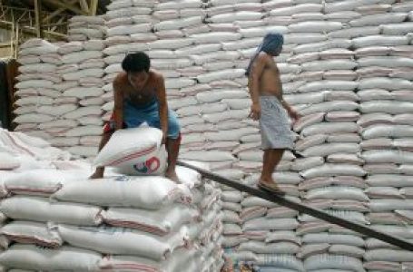 Rice inventory drops 11% in early April as corn stocks rise