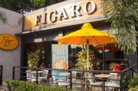 Figaro capex nears P1 billion, targets 400 stores