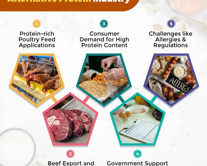  Key Trends to Look Out for in the Alternative Protein Market