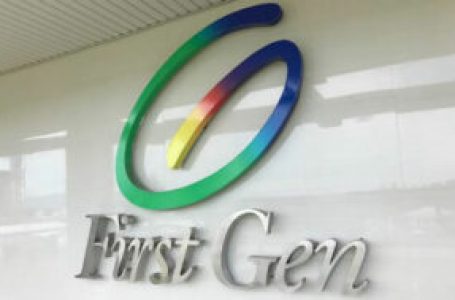 First Gen keen on building more LNG terminals with Tokyo Gas
