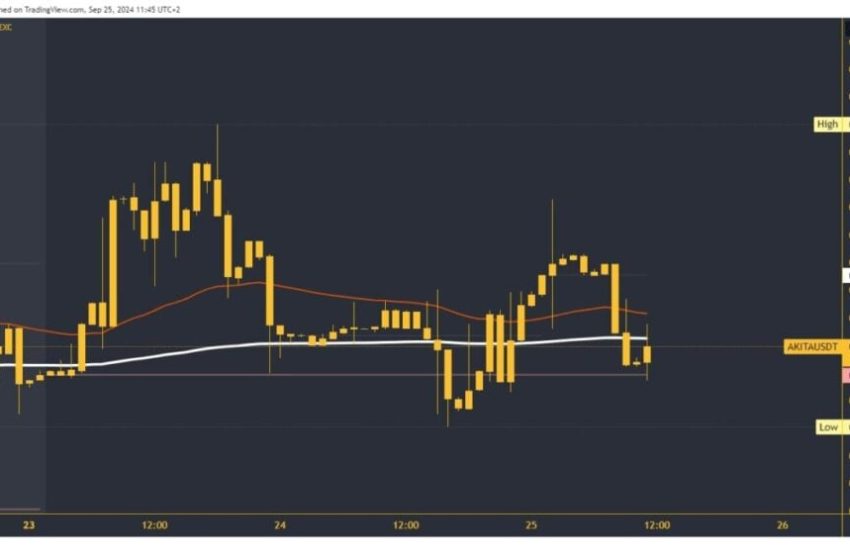  ApeCoin and Akita Inu: Price and Target Overview