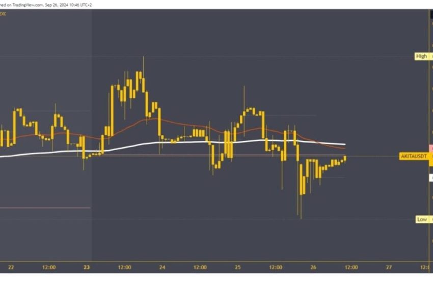  ApeCoin and Akita Inu: Akita Inu records a new weekly low