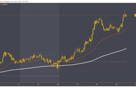 Solana and Cardano: Cardano at a new September high