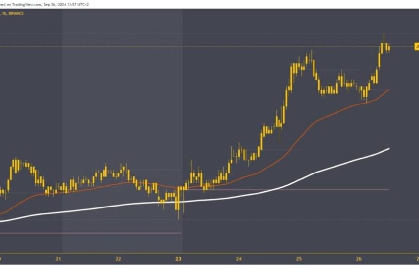  Solana and Cardano: Cardano at a new September high