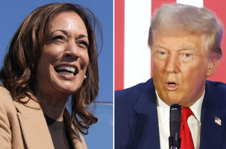 Allan Lichtman predicts Harris as 2024 winner because ‘Democrats got smart’ and did this