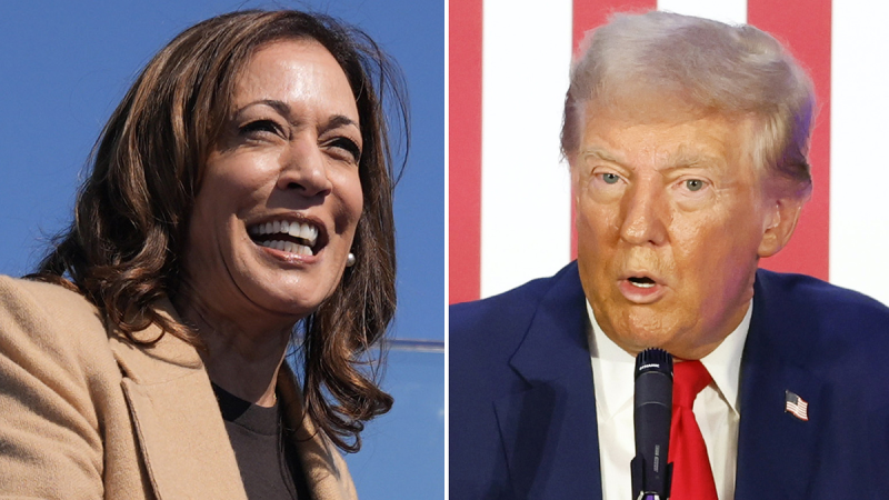  Allan Lichtman predicts Harris as 2024 winner because ‘Democrats got smart’ and did this