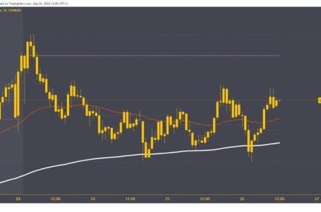 SafeMoon and Litecoin: New Daily Targets and Prices