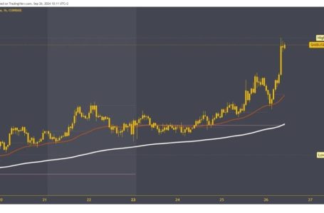 Dogecoin and Shiba Inu: Daily Targets and Prices