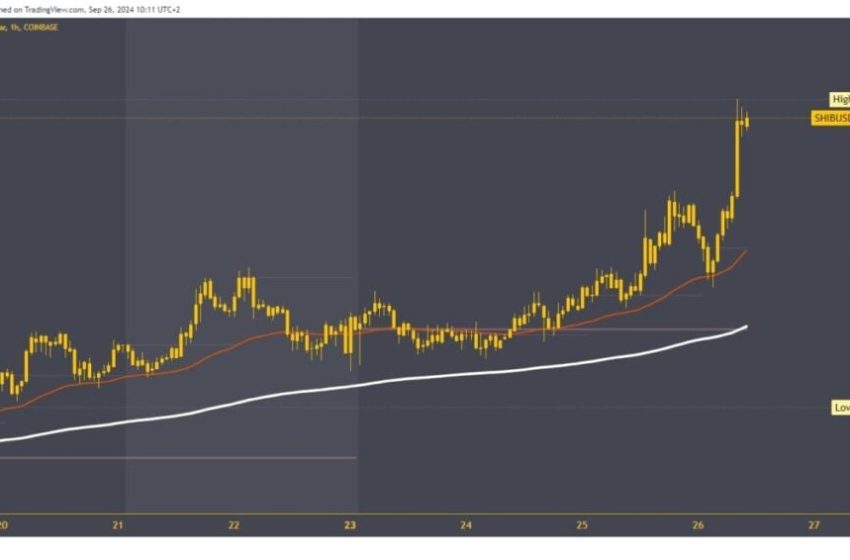  Dogecoin and Shiba Inu: Daily Targets and Prices