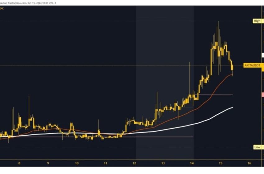  ApeCoin and Akita Inu: Targets and Levels for Tuesday