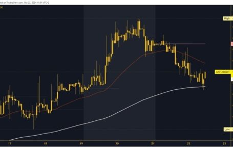 ApeCoin and Akita Inu: ApeCoin rose to a multi-month high