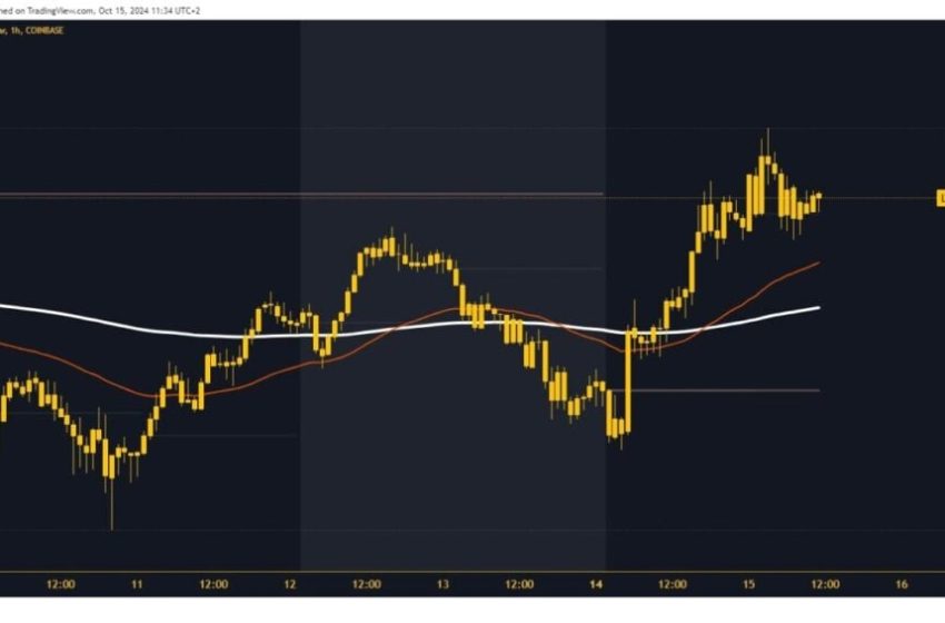  SafeMoon and Litecoin: Levels and Prices for Tuesday