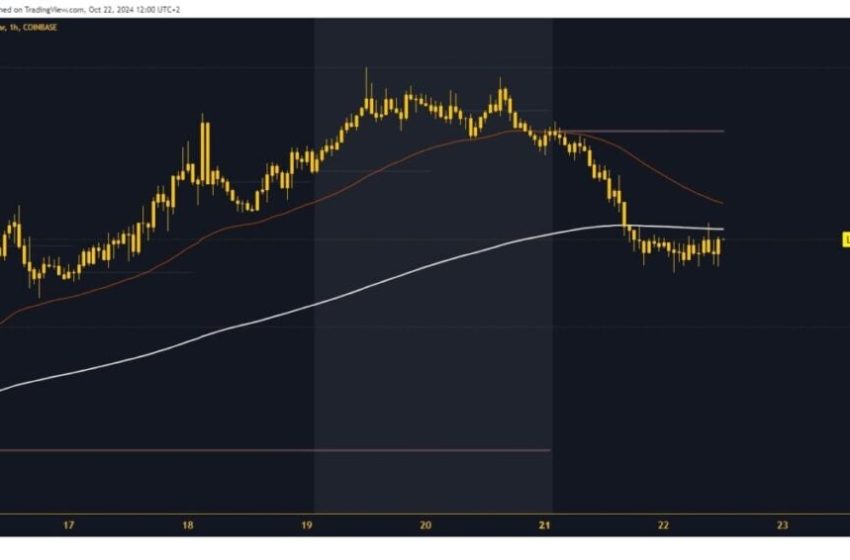  SafeMoon and Litecoin: New Targets and Support Levels