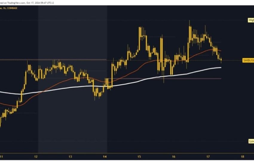  Dogecoin and Shiba Inu: Dogecoin in retreat since last night