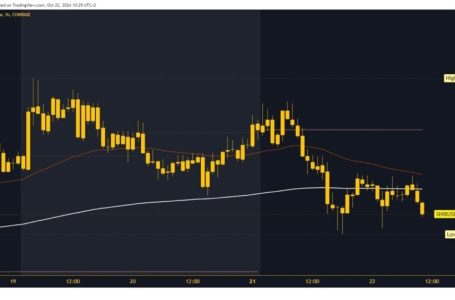 Dogecoin and Shiba Inu: Dogecoin in sideways consolidation