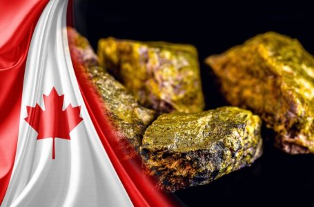 5 Best-performing Canadian Uranium Stocks of 2024