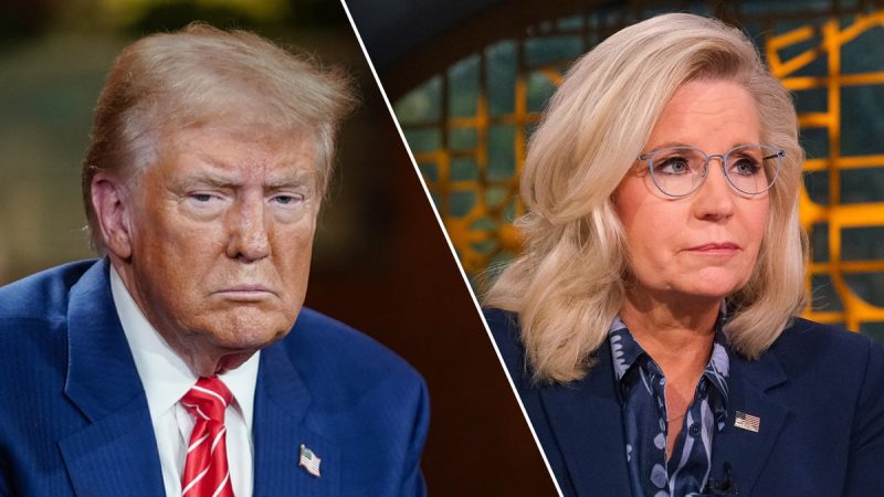  Liz Cheney bashes Trump in new key battleground Harris ad as election hits final sprint