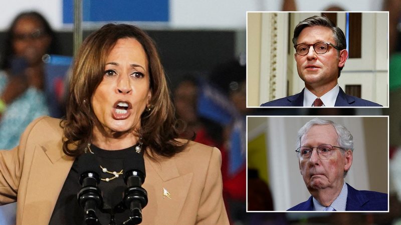  Harris silent after GOP leaders say ‘fascist’ rhetoric ‘risks inviting’ another Trump assassination attempt