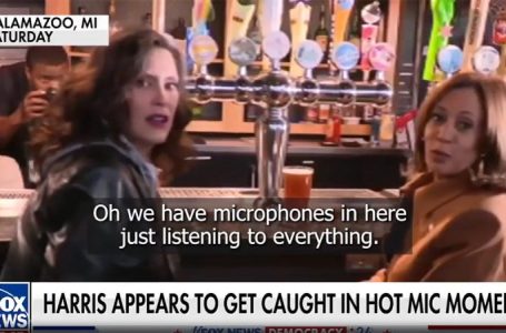 Harris caught on hot mic admitting her campaign is struggling with male voters