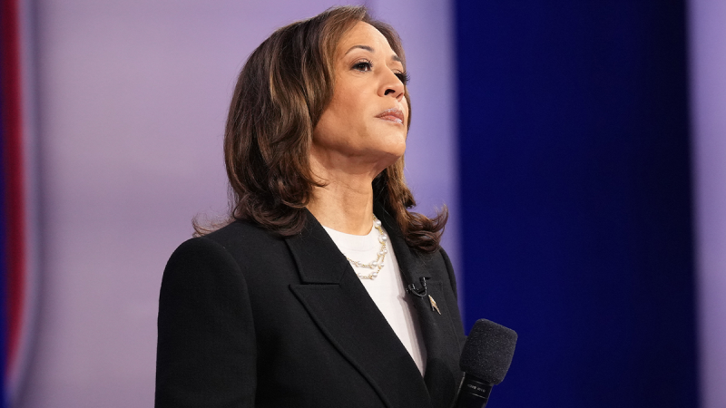  Harris doubles down on ‘fascist’ comments at start of CNN town hall: ‘unstable’