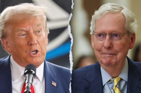 ‘Sleazeball’: McConnell’s 2020 thoughts on Trump revealed in new book