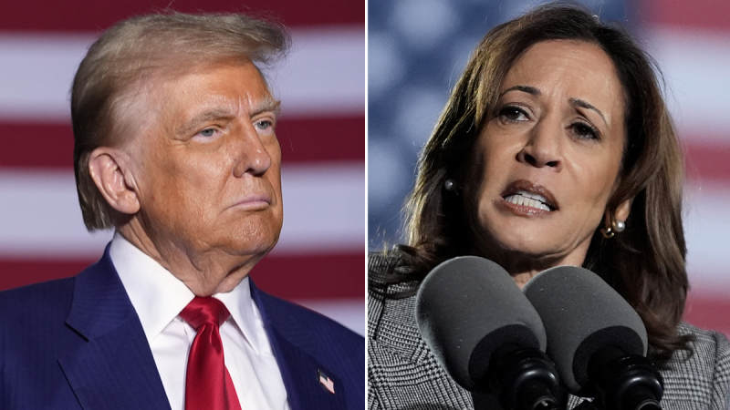  Harris slams ‘offensive’ Trump remark on protecting women from migrant crime