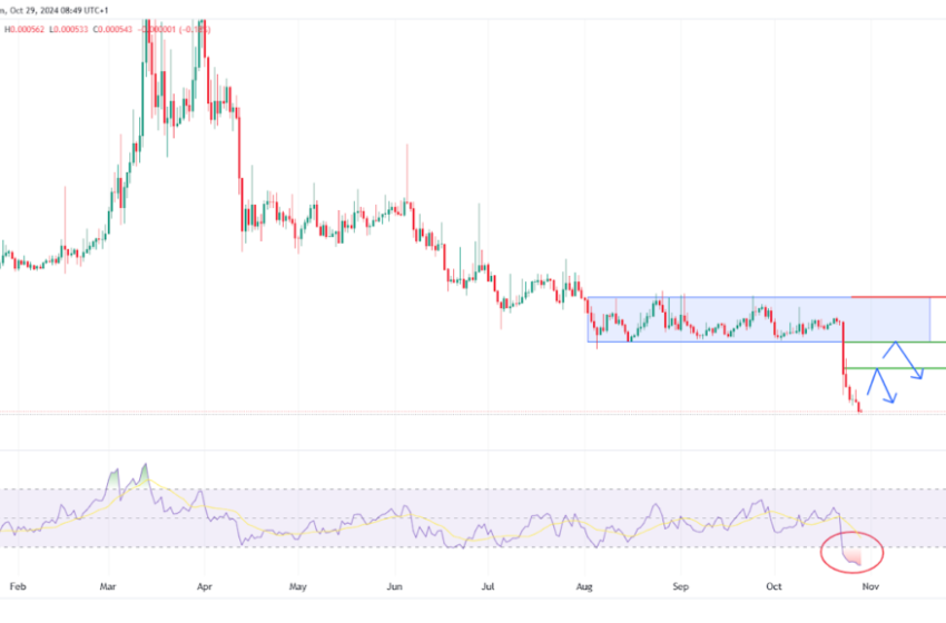  Top Crypto Gainers & Losers: SANTOS Token +57%, OOKI Down