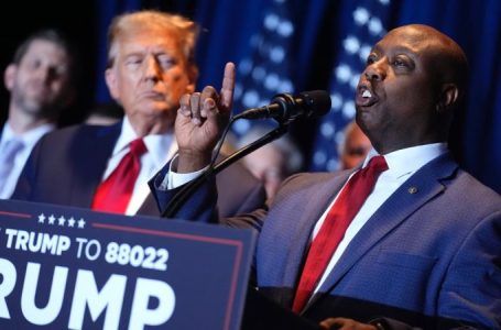 ‘Great meeting’: Tim Scott reveals Trump’s ‘all in’ to help GOP protect majority in 2026 midterms