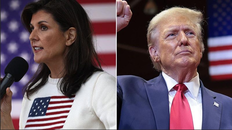  Nikki Haley responds after Trump says she won’t be part of new cabinet, says she wishes him ‘great success’