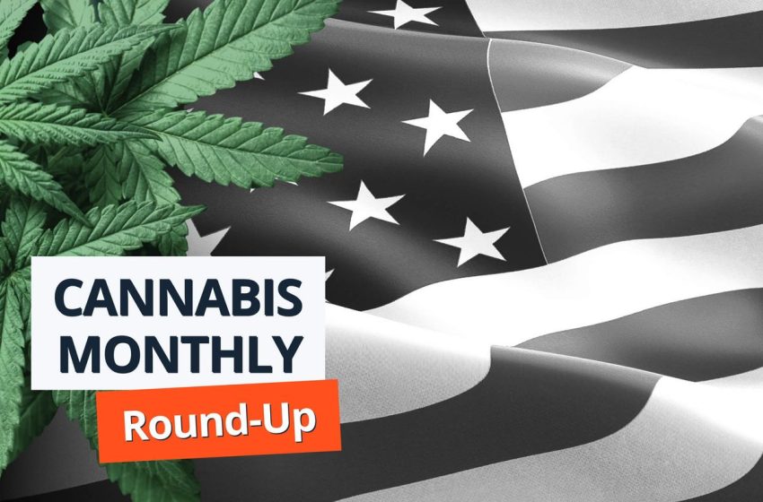  Cannabis Round-Up: Harris  to Push for Federal Legalization, DEA Choosing Witnesses for Rescheduling Trial