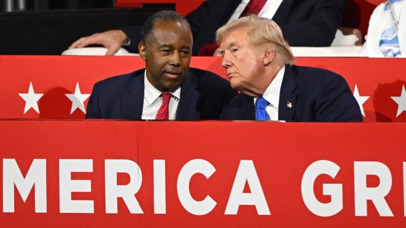  Ben Carson dispels rumors about joining White House in specific role, says he will meet with Trump soon