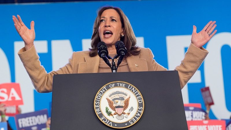  Debt-ridden Harris campaign spent $2.6 million on private flights for staff in October: FEC documents