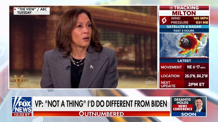  Dem Party blame game: Accusations fly as to who is responsible for Harris’ massive loss to Trump