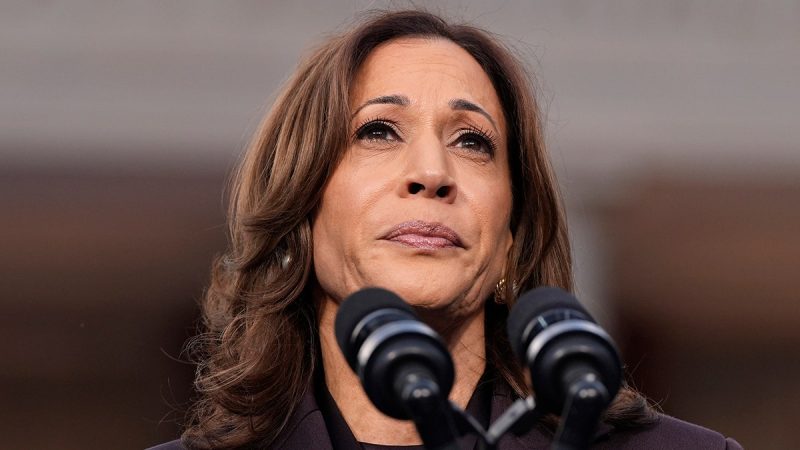  Harris campaign officials explain what went wrong –  and what Trump did right: report