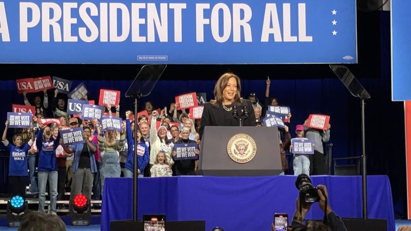  Trump, Harris focus on the future of America in closing ads of 2024 presidential campaigns