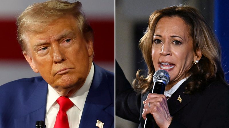  Trump poised to hit Harris over disastrous jobs report: ‘Hurricane Kamala’