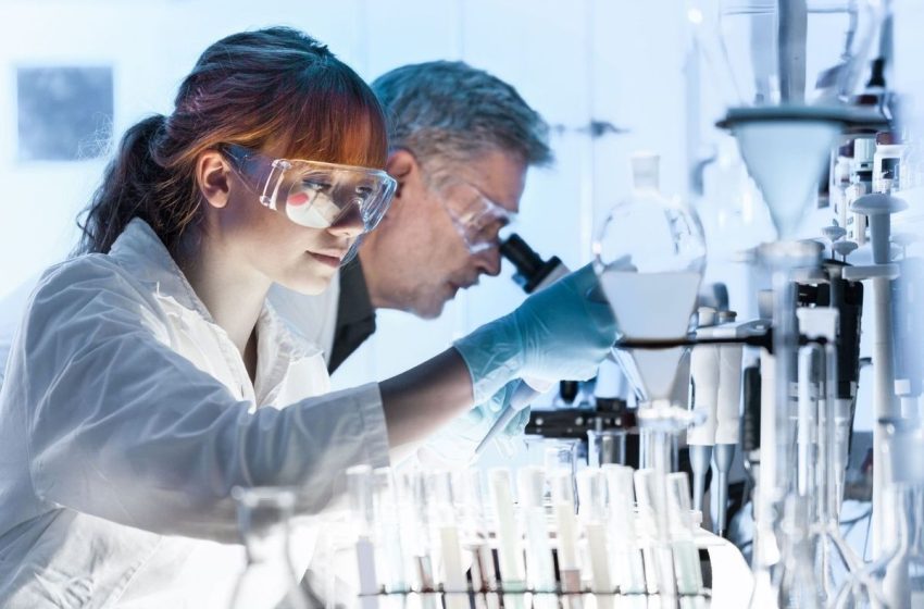  Top 5 Life Science ETFs in 2024