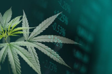 US Cannabis Sales Hit Record in October, Market Set to Reach US$55 Billion by 2030