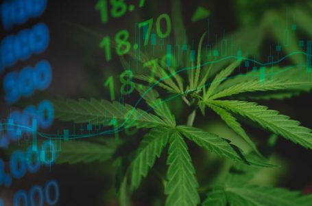 Cannabis Market 2024 Year-End Review