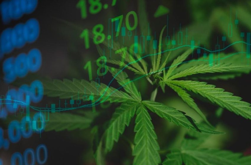  Cannabis Market 2024 Year-End Review