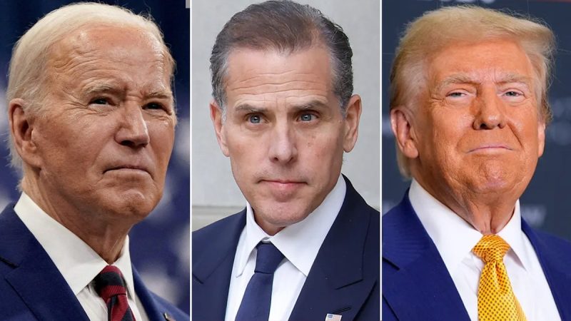  Biden, Trump both rip DOJ after president pardons Hunter