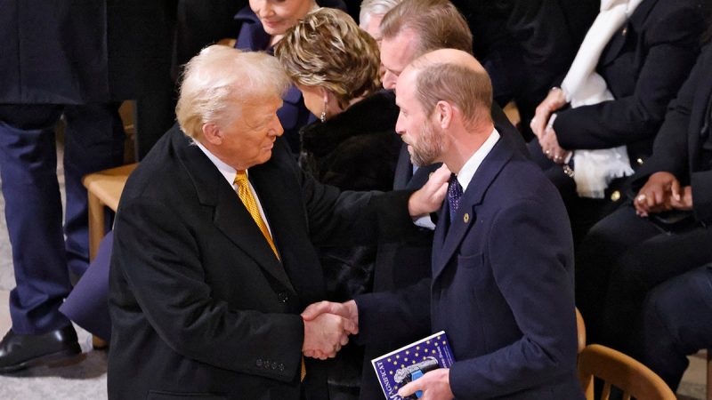  Trump, Prince William sit down for meeting in Paris after Notre Dame ceremony