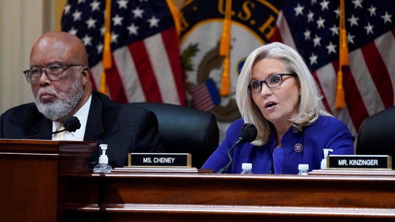  Biden awards Liz Cheney, Jan 6 committee chairman a medal: US ‘is better because of their dedication’