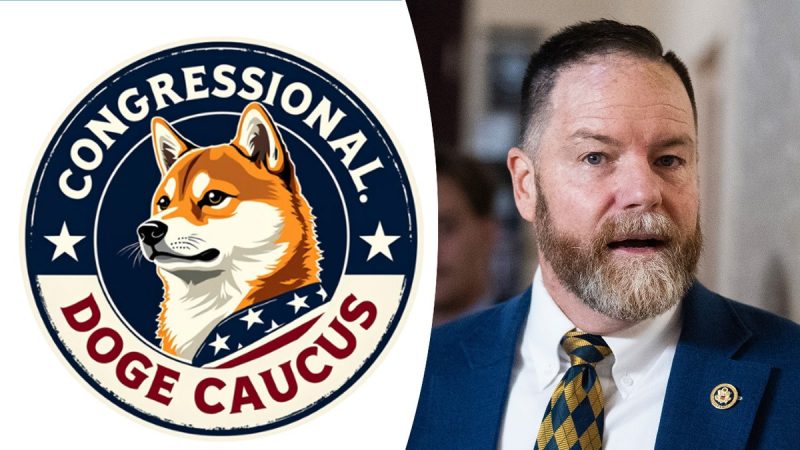  DOGE caucus roadmap for cutting government waste emerges after closed-door meeting: ‘great synergy’