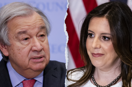 Trump’s UN ambassador pick Elise Stefanik could save taxpayers millions if taps Musk-Ramaswamy ‘DOGE’