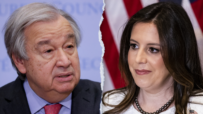  Trump’s UN ambassador pick Elise Stefanik could save taxpayers millions if taps Musk-Ramaswamy ‘DOGE’