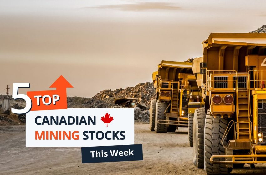  Top 5 Canadian Mining Stocks This Week: Wealth Minerals Charges Up 64 Percent