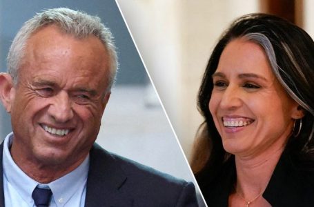 Trump’s most vulnerable nominees RFK Jr, Tulsi Gabbard get back-to-back hearings