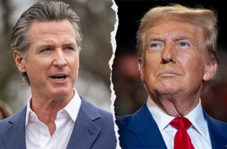 Newsom calls Trump’s claims ‘pure fiction’ after president-elect points finger over California fire tragedy